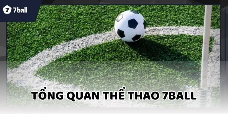 thể thao 7Ball