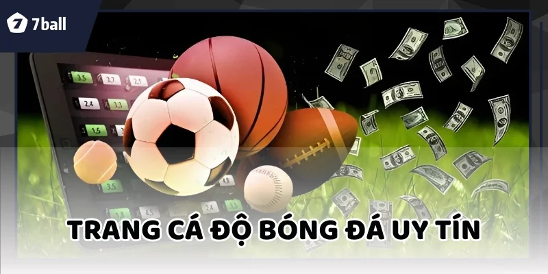 Trang Cá Độ Bóng Đá Uy Tín