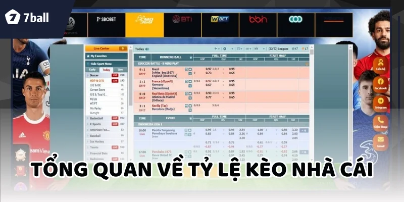 Tỷ lệ kèo nhà cái